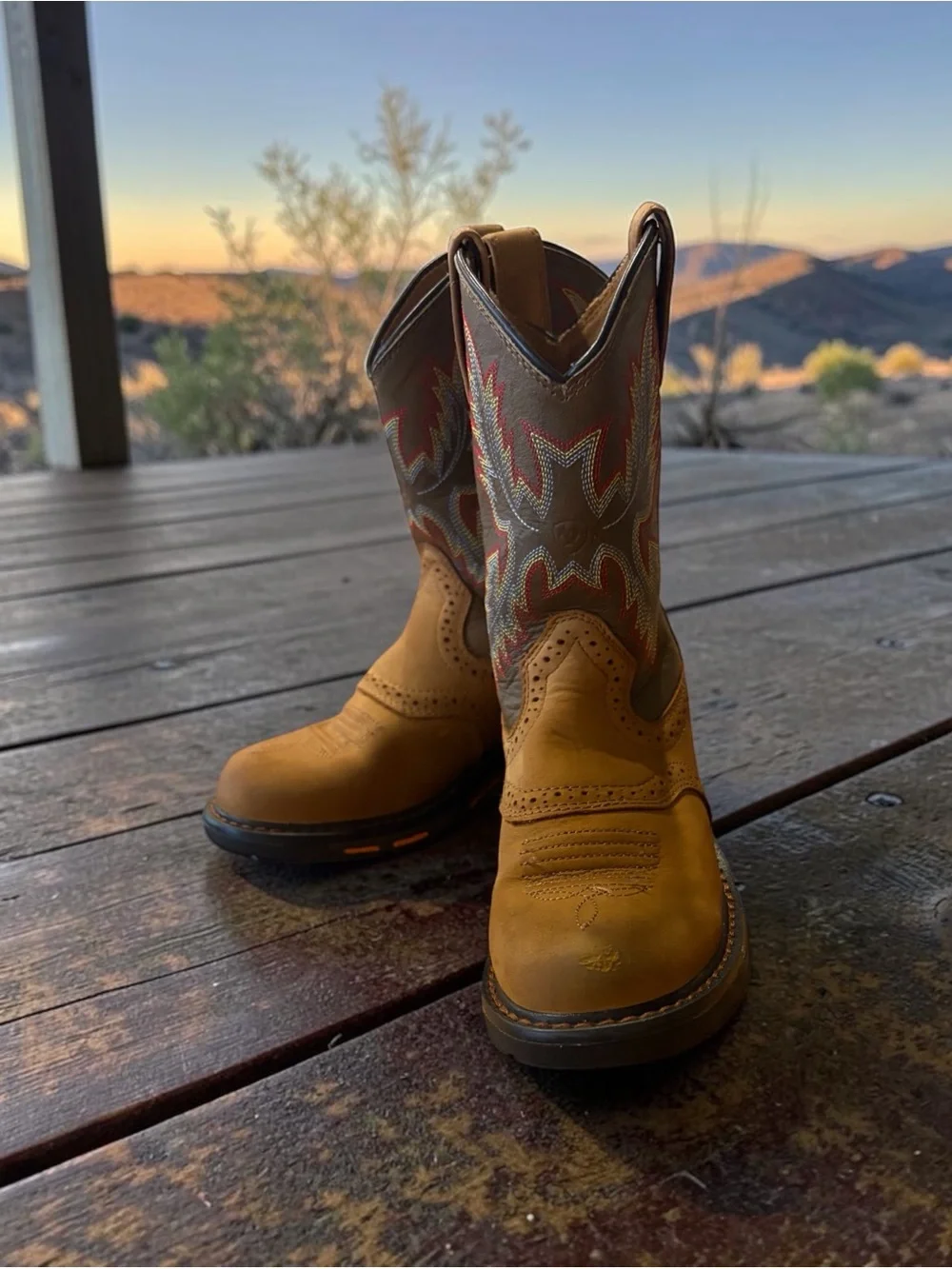 Ariat boys boot